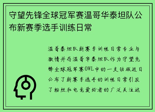 守望先锋全球冠军赛温哥华泰坦队公布新赛季选手训练日常